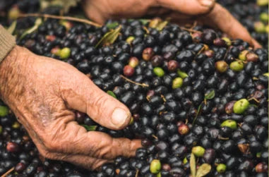 El AOVE ideal para cocinar sin perder sabor