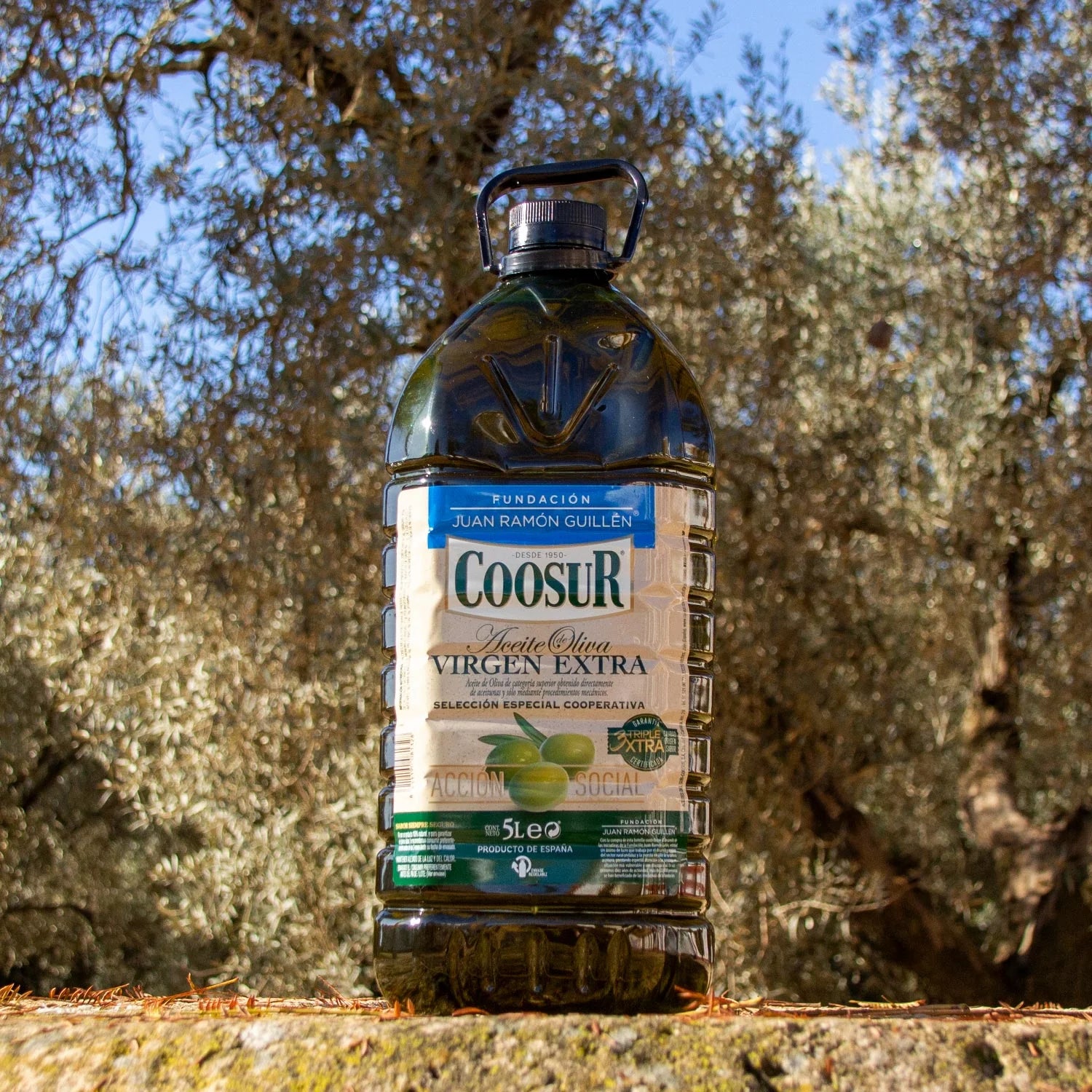 Aceite de Oliva Virgen Extra 5l – Selección Cooperativa FJRG